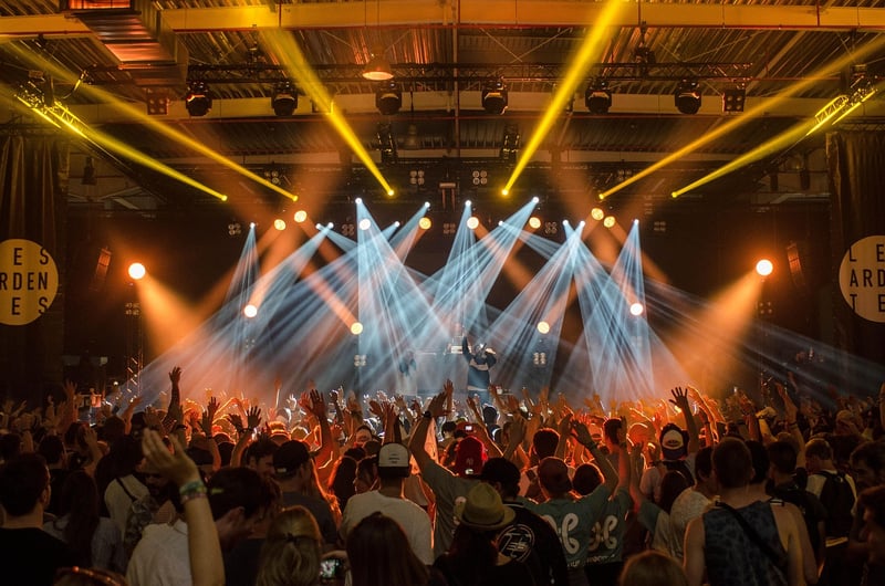 Concert crowd