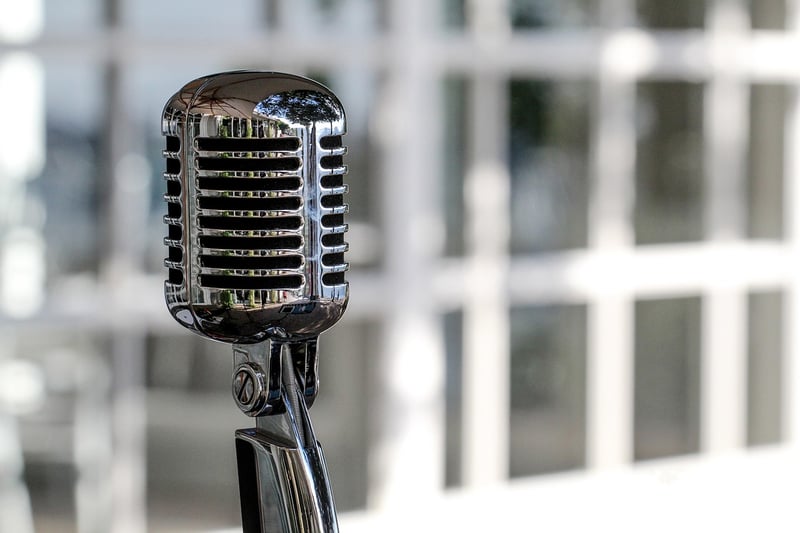 Press conference microphones